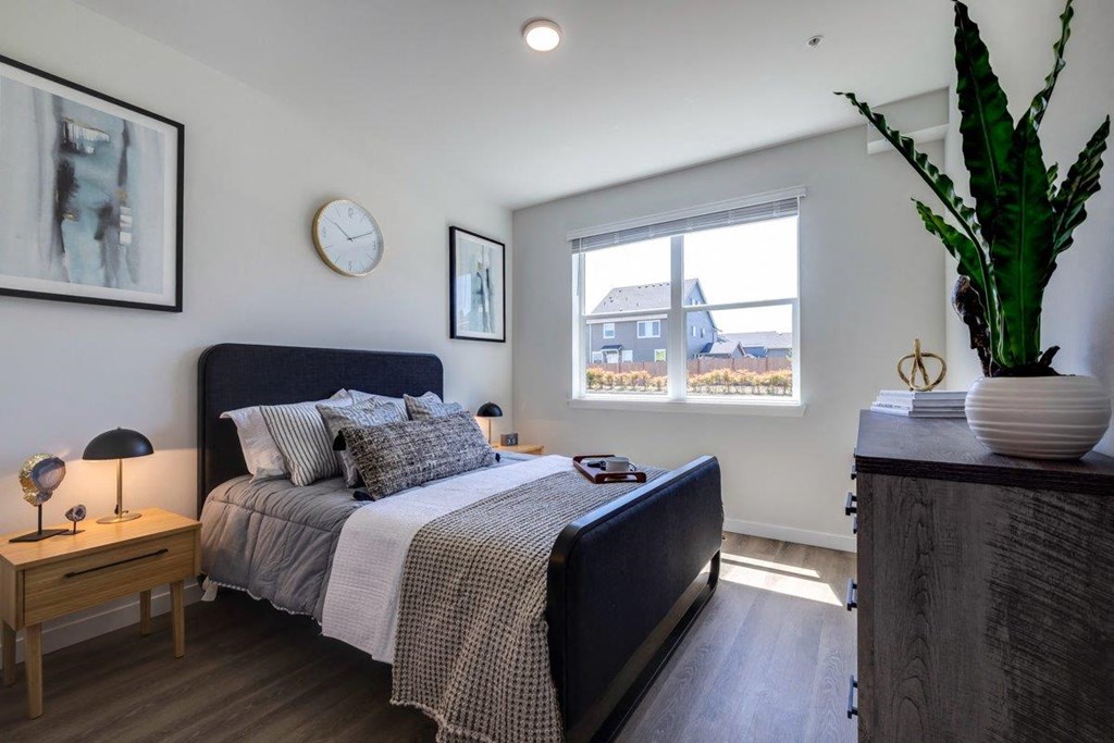 Solace At Rainier Ridge Apartments, 10423 Rainier Ridge Boulevard East